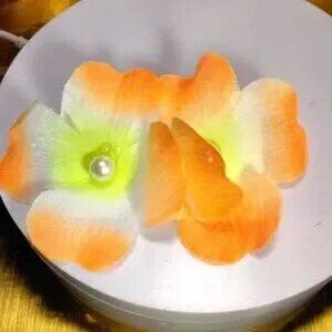 earrings  10 pairs color and flower assortment